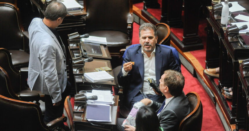 El PRO negocia para “robarle” tres libertarios al oficialismo y ganar peso en Diputados El PRO negocia para “robarle” tres libertarios al oficialismo y ganar peso en Diputados