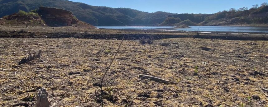 Crisis hídrica en La Rioja: Alarma por el descenso del nivel del dique de Olta Crisis hídrica en La Rioja: Alarma por el descenso del nivel del dique de Olta