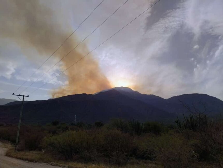 Brindan detalles sobre el incendio en el Cerro de la Cruz Brindan detalles sobre el incendio en el Cerro de la Cruz