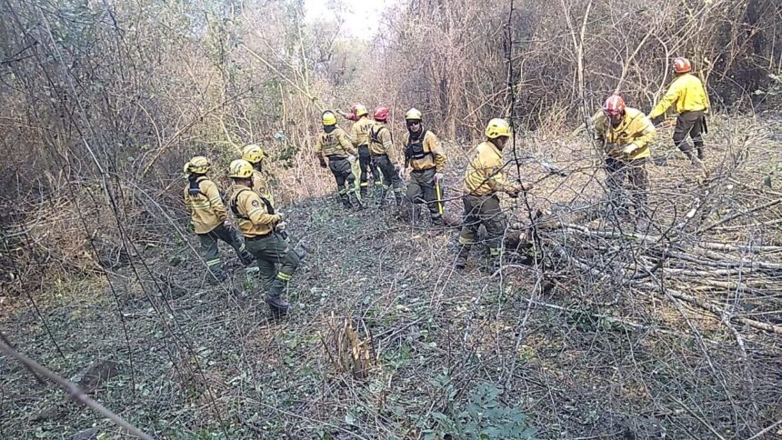 Continúa el intenso operativo para combatir los focos de incendio en toda la provincia Continúa el intenso operativo para combatir los focos de incendio en toda la provincia