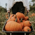 Trucos y consejos para plantar y cultivar calabazas con éxito