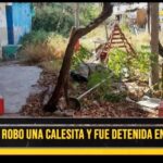 Pareja robó una calesita y fue detenida en el centro