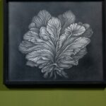 Beatriz Moreiro: revelaciones desde el Gran Chaco