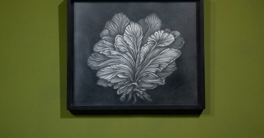 Beatriz Moreiro: revelaciones desde el Gran Chaco