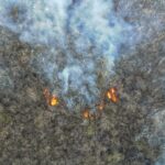 El incendio forestal del Cordón del Velasco se encuentra activo en el sector El Tala