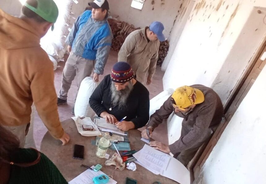Producción Sustentable | JORNADA DE PESAJE, REGISTRO Y CARGA DE HOJAS SECAS DE JARILLA