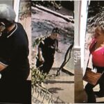 Capital: Buscan identificar a delincuentes