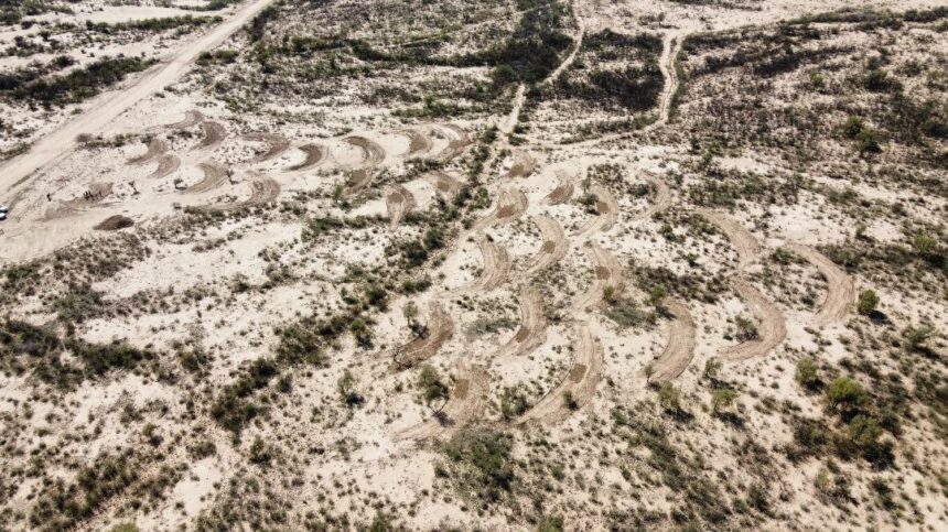 Ciencia y Producción | CÁTEDRA DE RECURSOS FORRAJEROS RECORRE CAMPO SOL DE MAYO