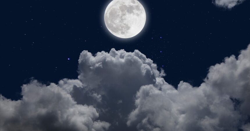 Luna llena de noviembre 2024 en Tauro: cómo afecta a cada signo del zodiaco Luna llena de noviembre 2024 en Tauro: cómo afecta a cada signo del zodiaco