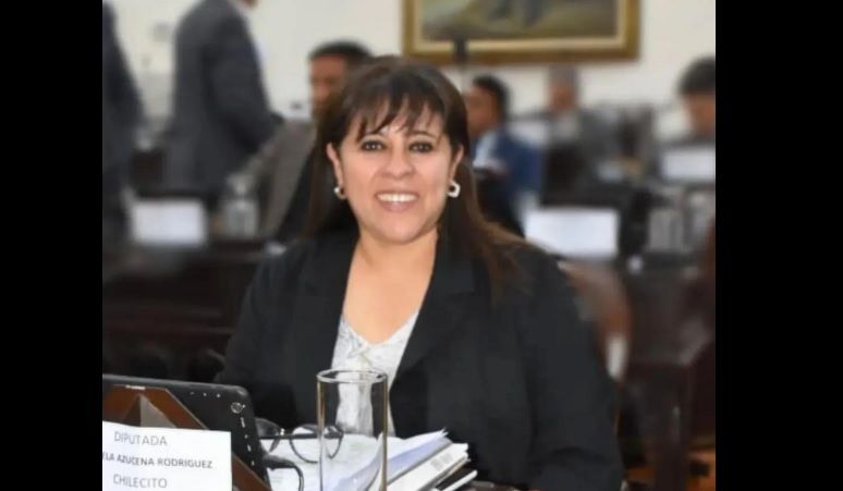 Kelina Rodríguez: “No apoyamos expropiaciones discrecionales” Kelina Rodríguez: “No apoyamos expropiaciones discrecionales”
