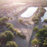 Medialunas Contra la Desertificación | RELEVAMIENTO DE DATOS EN EL CAMPO MUNICIPAL SOL DE MAYO