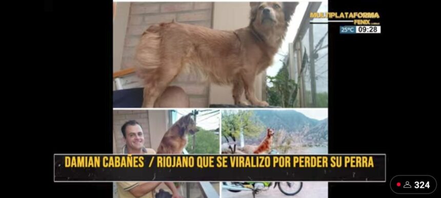 Riojano busca intensamente a su perrita Riojano busca intensamente a su perrita