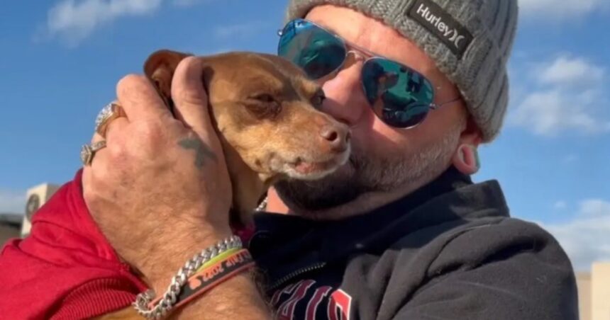 Un perro perdido se reencontró con su dueño ocho años después Un perro perdido se reencontró con su dueño ocho años después