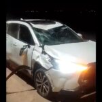 Automóvil impactó contra un caballo: no hubo víctimas fatales