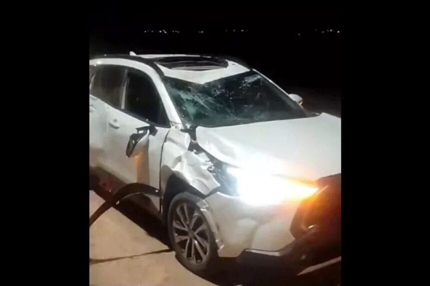Automóvil impactó contra un caballo: no hubo víctimas fatales