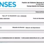 ANSES: ¿Qué es el CODEM y cómo obtenerlo?