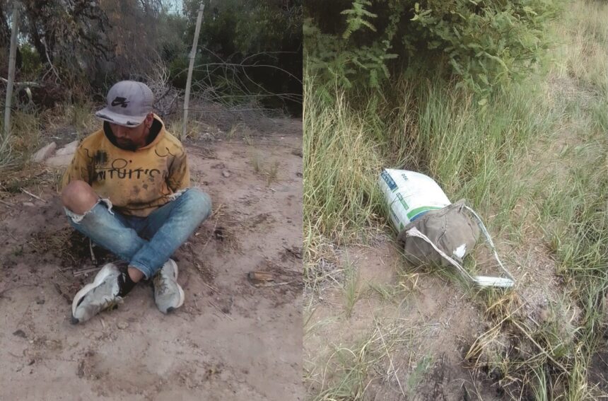 Aimogasta: Robó aceitunas y fue detenido por los propietarios de la finca