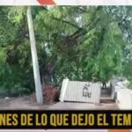 Fuerte tormenta en La Rioja: Árboles caídos y calles bloqueadas