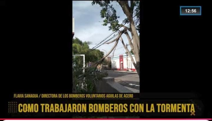 Flavia Sanagua en Fénix: “Tuvimos más de 40 intervenciones tras la tormenta” Flavia Sanagua en Fénix: “Tuvimos más de 40 intervenciones tras la tormenta”