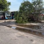 Algunos recorridos de Rioja Bus fueron afectados por las consecuencias de la tormenta