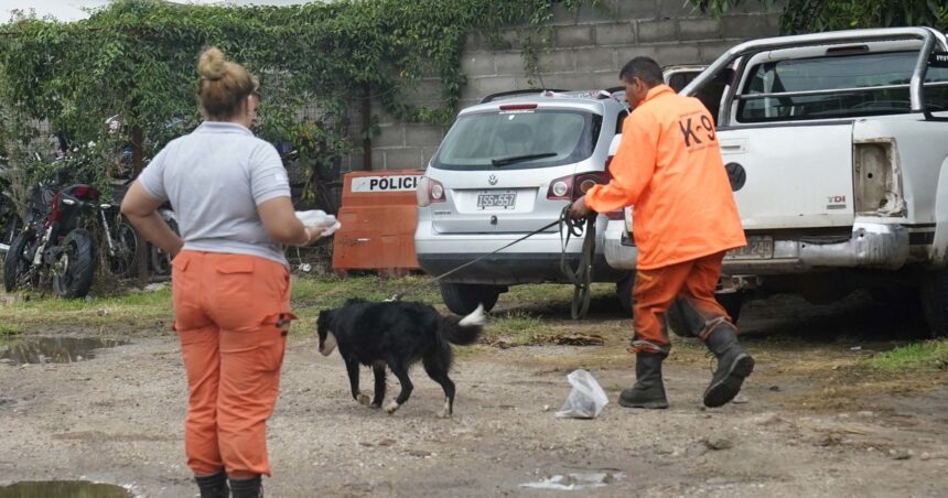Desorientación total en el caso Lian: “Acá no va a pasar más nada” Desorientación total en el caso Lian: “Acá no va a pasar más nada”