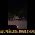 Chepes: queja de vecinos por animales sueltos en rutas