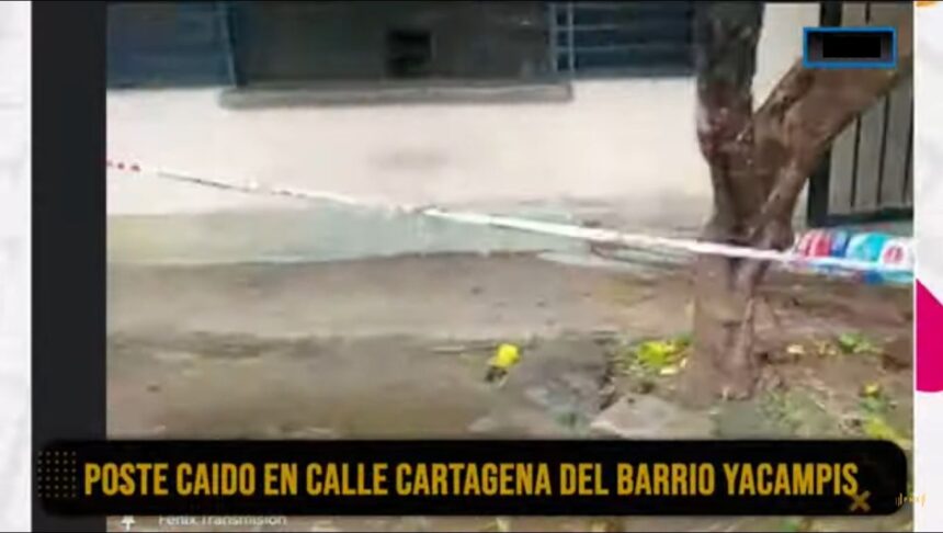 Poste caído en barrio Yacampis: “¿están esperando una muerte, para que vengan?” Poste caído en barrio Yacampis: “¿están esperando una muerte, para que vengan?”