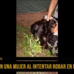 Mujer fingió ser víctima de robo y terminó robando un celular