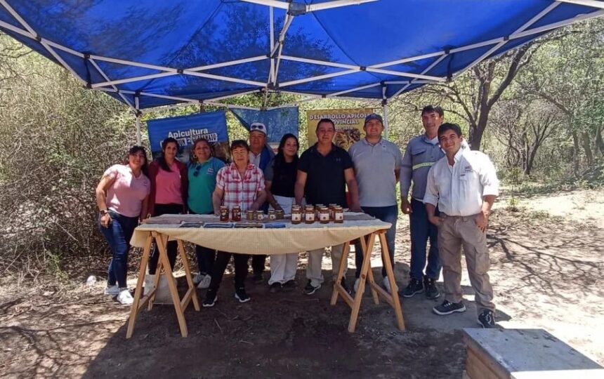 Apicultores riojanos ganaron concurso internacional Apicultores riojanos ganaron concurso internacional