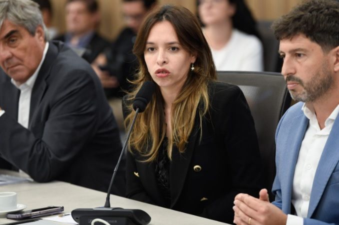 La provincia de La Rioja expuso sobre sus proyectos mineros en el Congreso de la Nación.