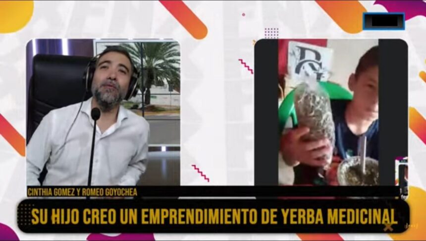 Malanzán: niño de 10 años comenzó a emprender vendiendo hierbas medicinales