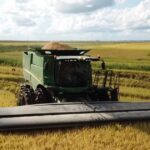 Las razones del gran salto productivo y exportador del arroz