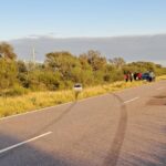 Siniestro vial en cercanías de Chañar: cinco ocupantes ilesos tras despiste de un vehículo