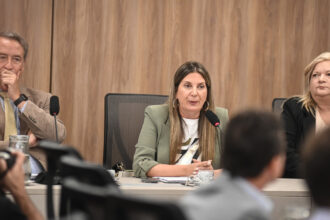 La advertencia de la ideóloga de Ficha Limpia que hizo posponer el tratamiento en el Senado