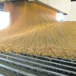 La soja saltó más de US$ 12 en el mercado internacional y alcanzó su precio más alto en 17 meses